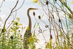 30 25-Sep-13 15-06-58 P7100 001